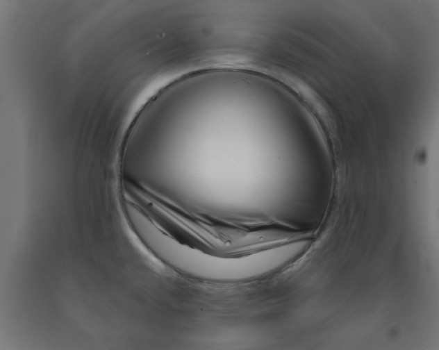 X0000090871432200708241911