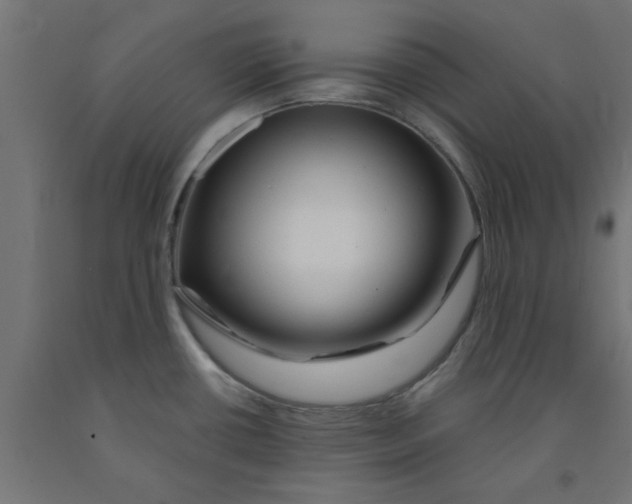 X0000090871434200708241911