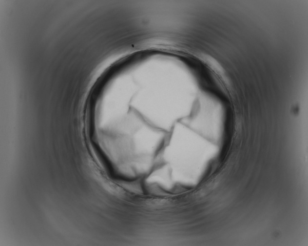 X0000090871435200708241911