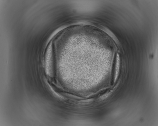 X0000090871436200708241911