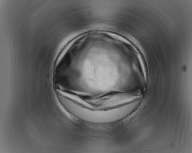 X0000090871437200708241911