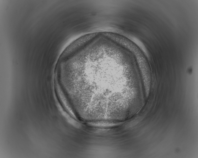 X0000090871439200708241911