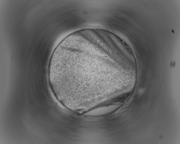 X0000090871440200708241911