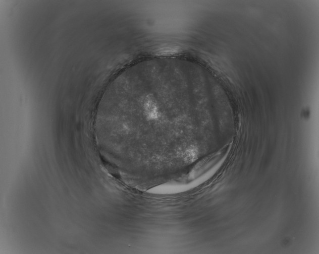 X0000090871441200708241910