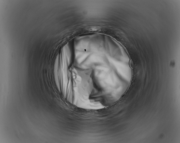 X0000090871442200708241910