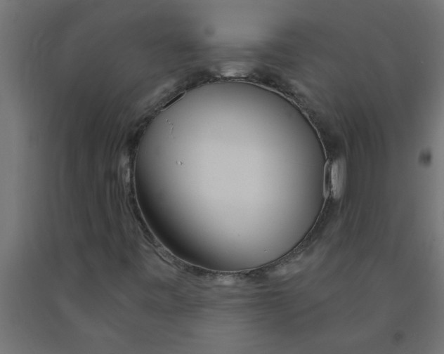 X0000090871443200708241910