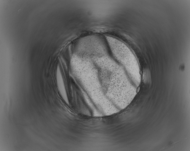 X0000090871444200708241910