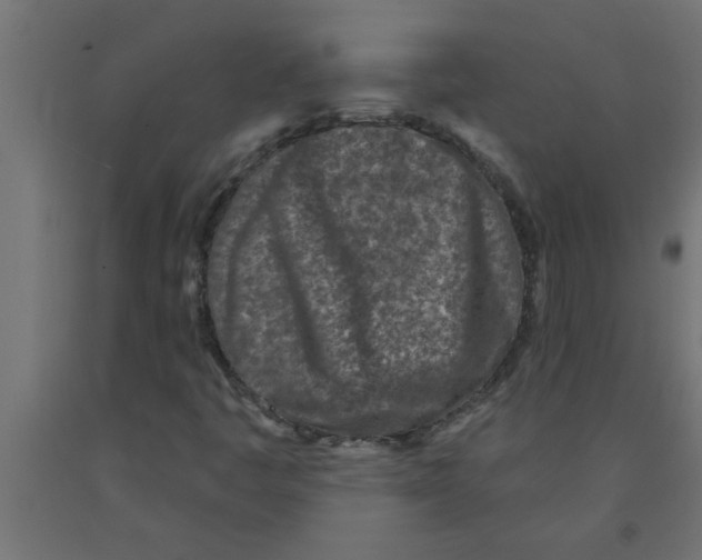 X0000090871445200708241910