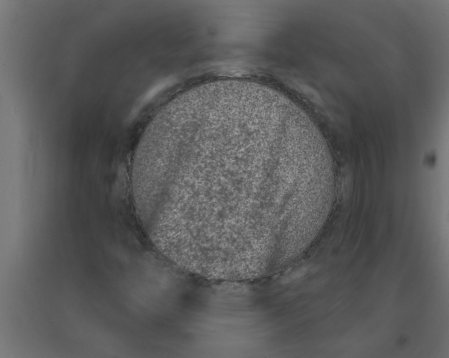 X0000090871446200708241910