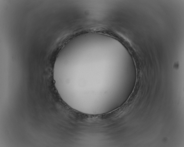 X0000090871447200708241910