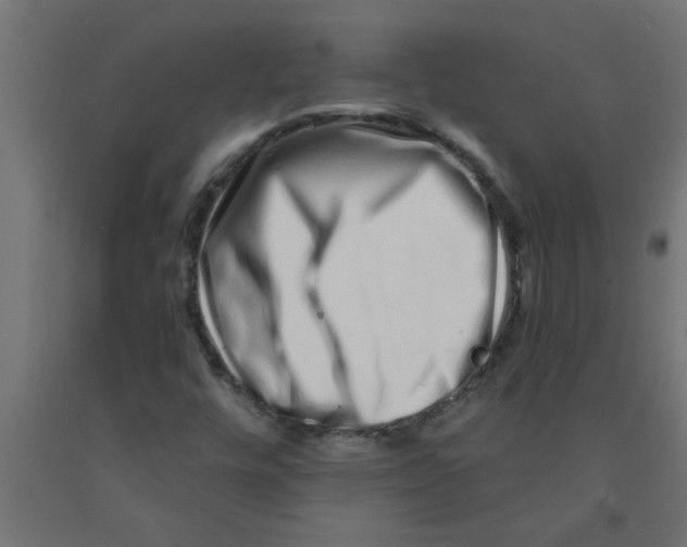 X0000090871448200708241910