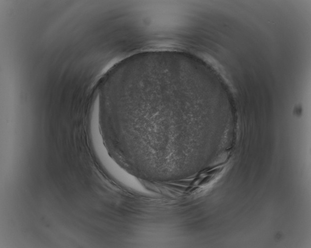 X0000090871449200708241910