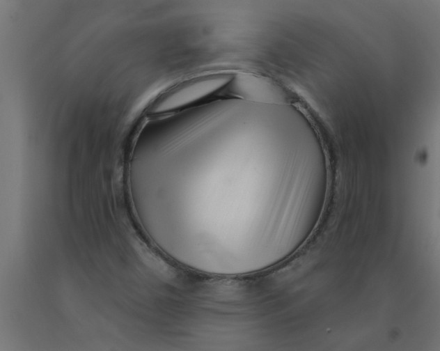 X0000090871450200708241910