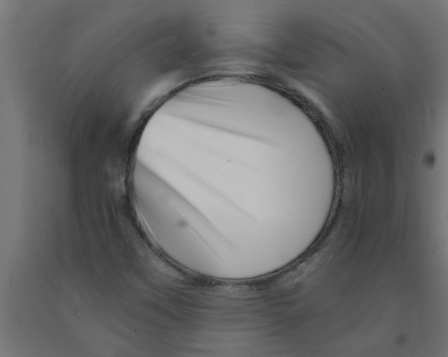 X0000090871451200708241910