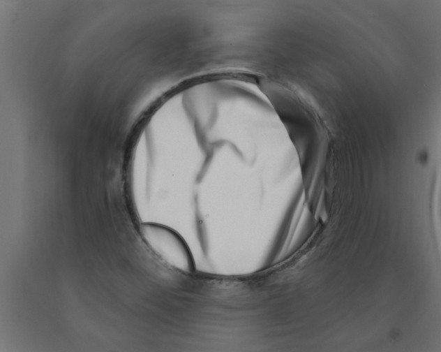 X0000090871452200708241910