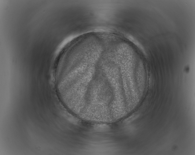 X0000090871454200708241910