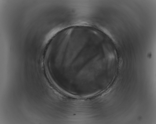 X0000090871455200708241910