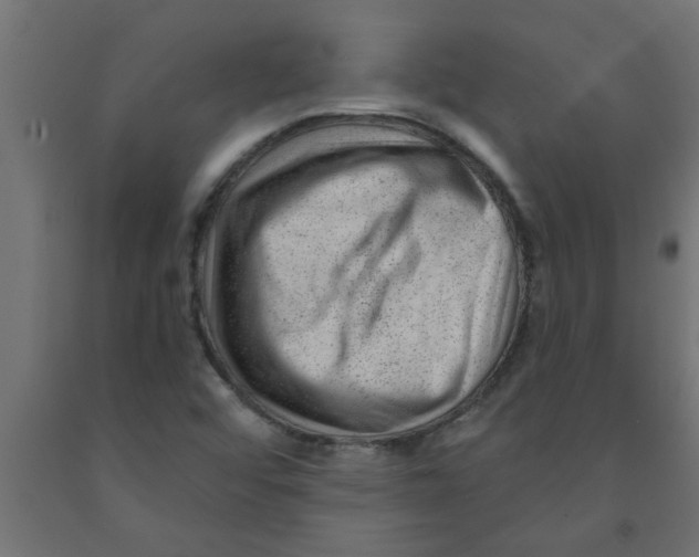 X0000090871456200708241910