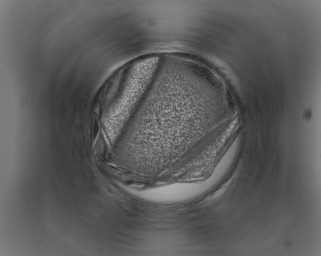 X0000090871457200708241910