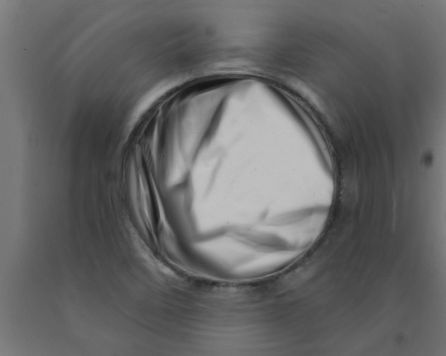 X0000090871458200708241910