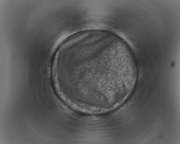 X0000090871459200708241910