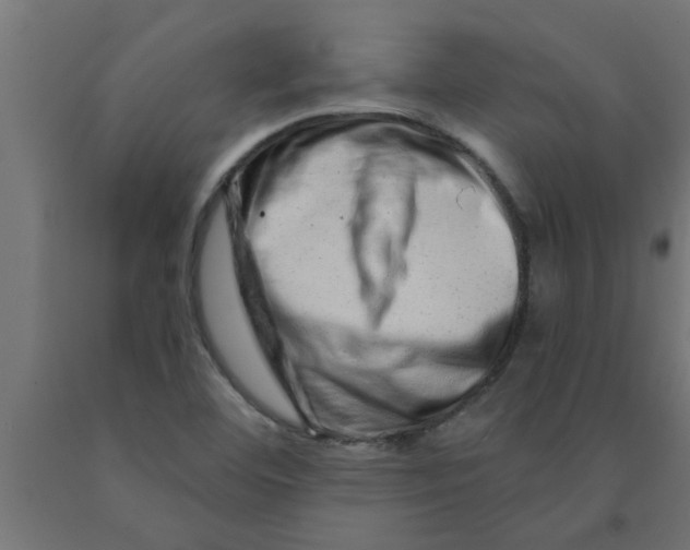 X0000090871460200708241910