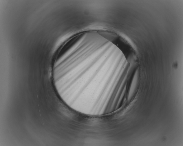 X0000090871461200708241910