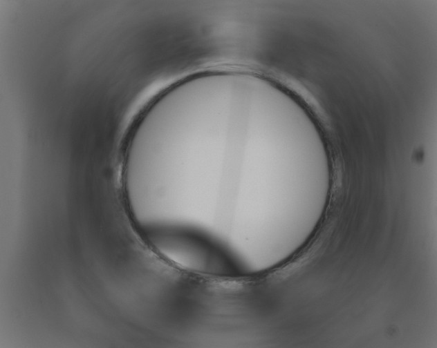 X0000090871462200708241910