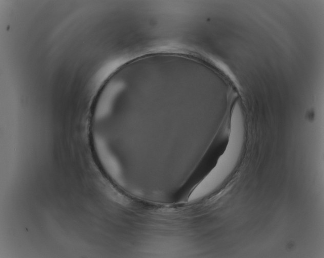 X0000090871463200708241910