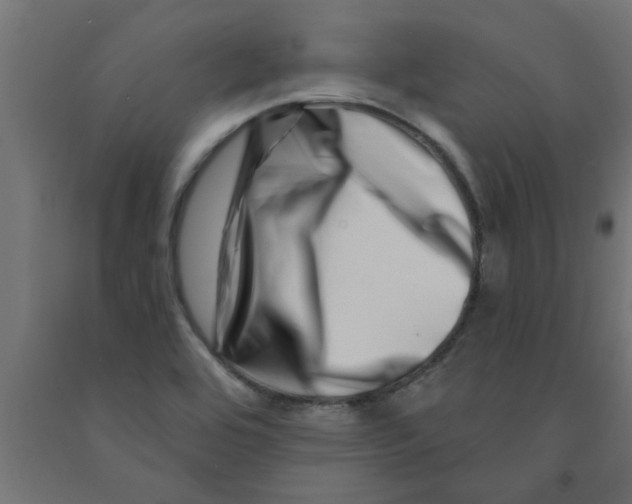 X0000090871464200708241910