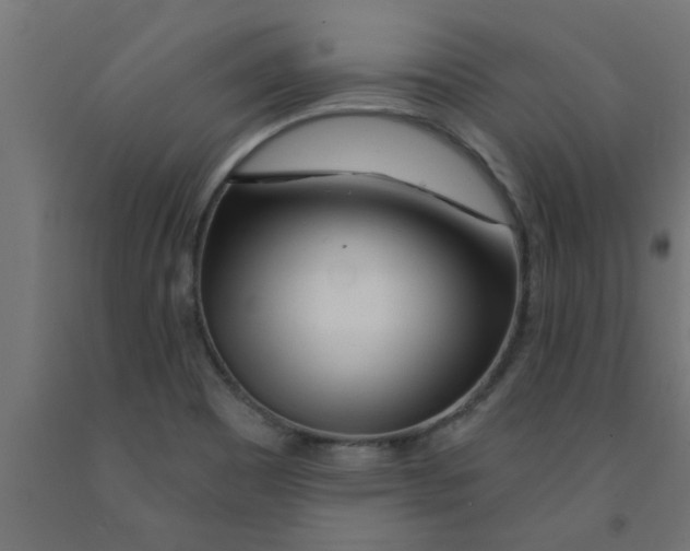 X0000090871465200708241910