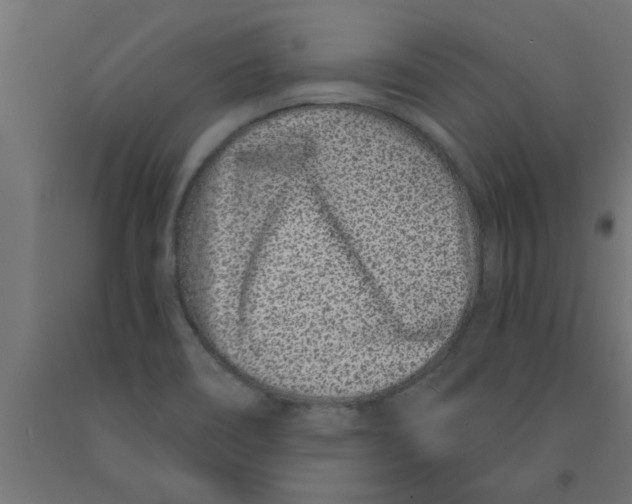 X0000090871466200708241910