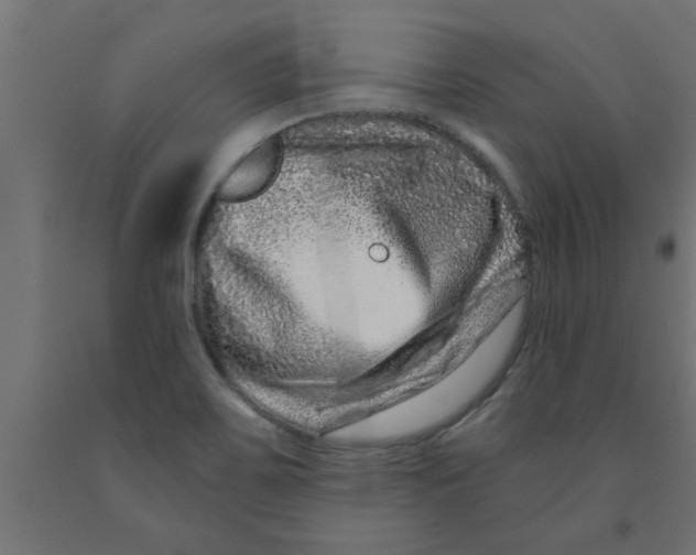 X0000090871467200708241910