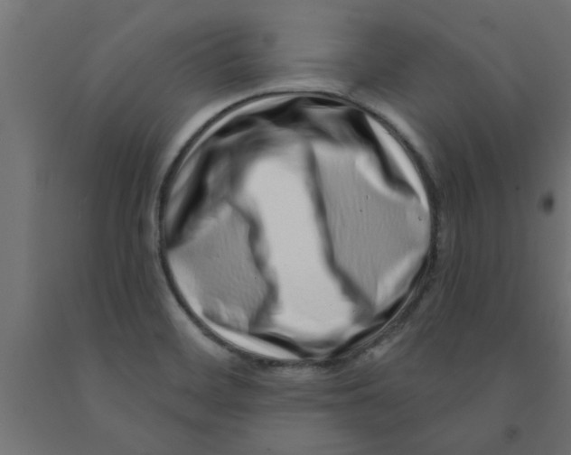 X0000090871468200708241910