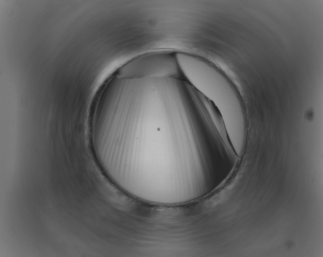 X0000090871469200708241910