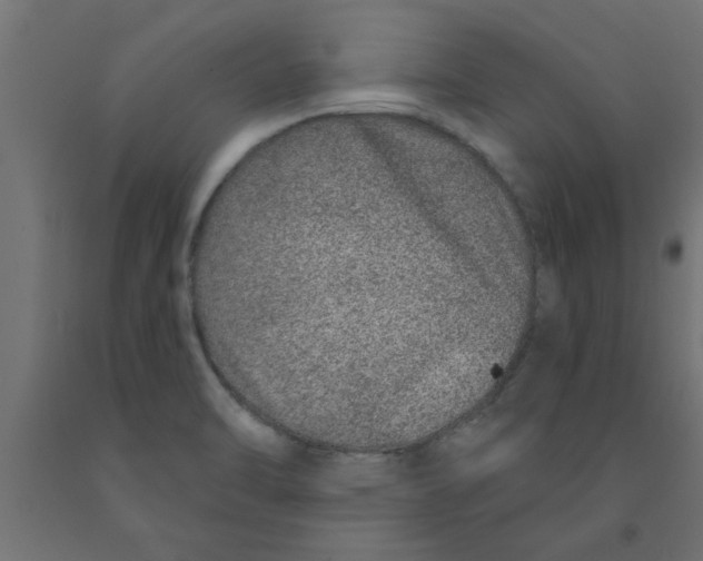 X0000090871470200708241910