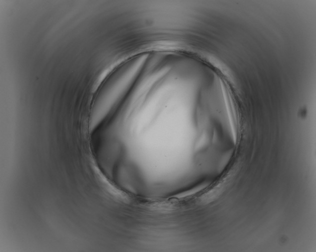 X0000090871473200708241910