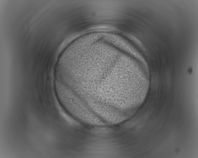 X0000090871474200708241910