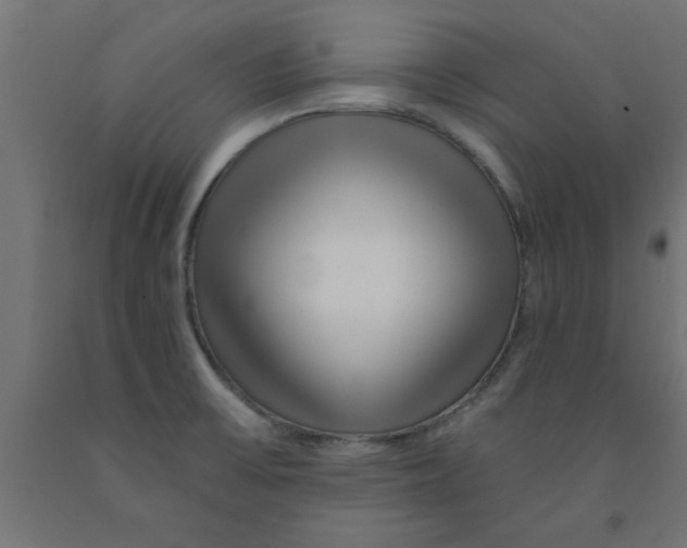 X0000090871475200708241910