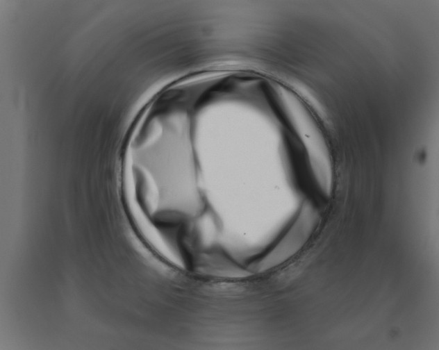 X0000090871476200708241910