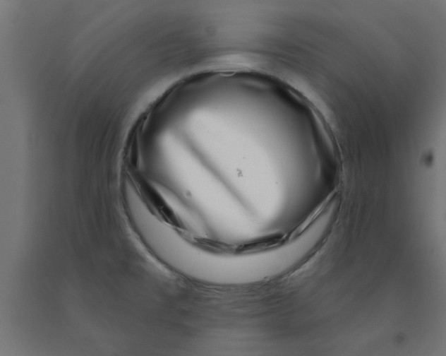 X0000090871477200708241910