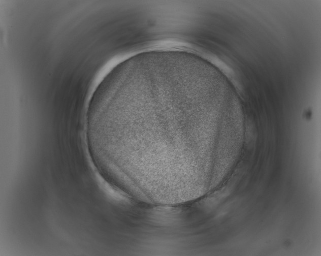 X0000090871478200708241910