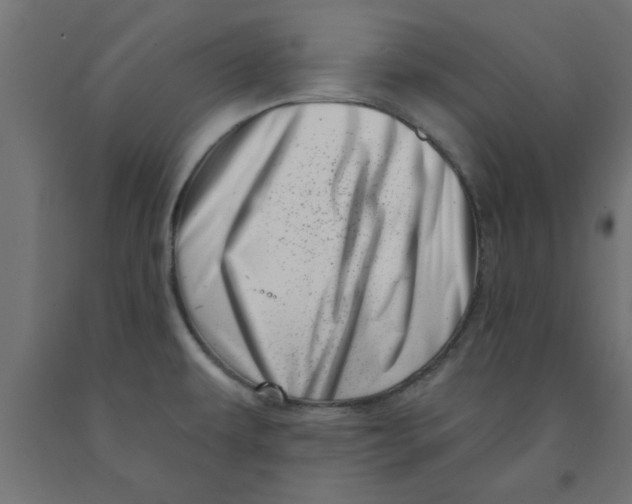 X0000090871479200708241910