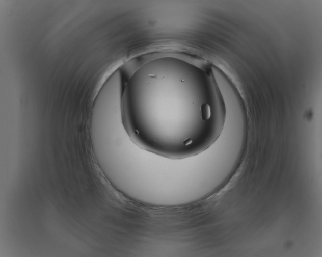 X0000090871481200708241910