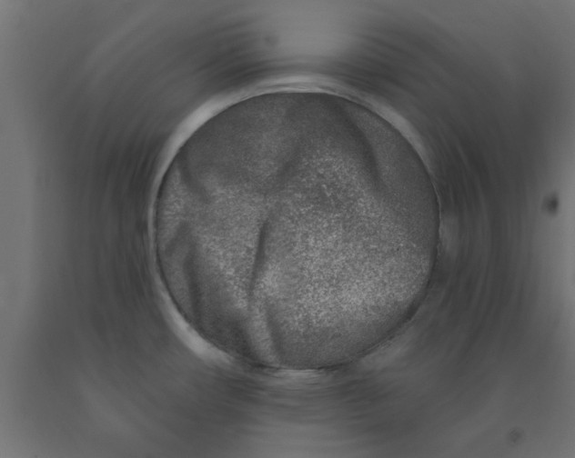 X0000090871482200708241910