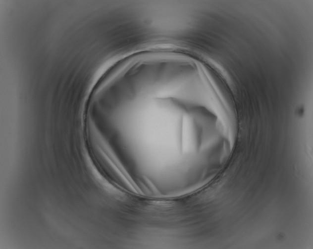 X0000090871483200708241910