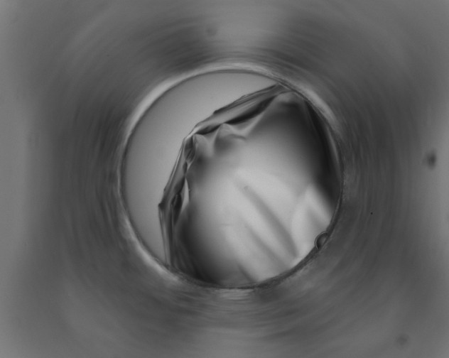 X0000090871484200708241910