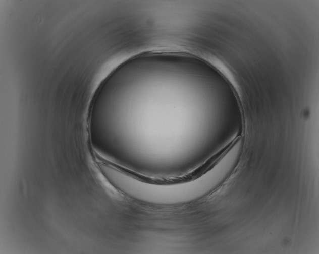 X0000090871485200708241910