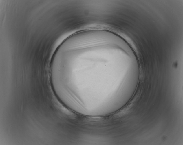 X0000090871486200708241910