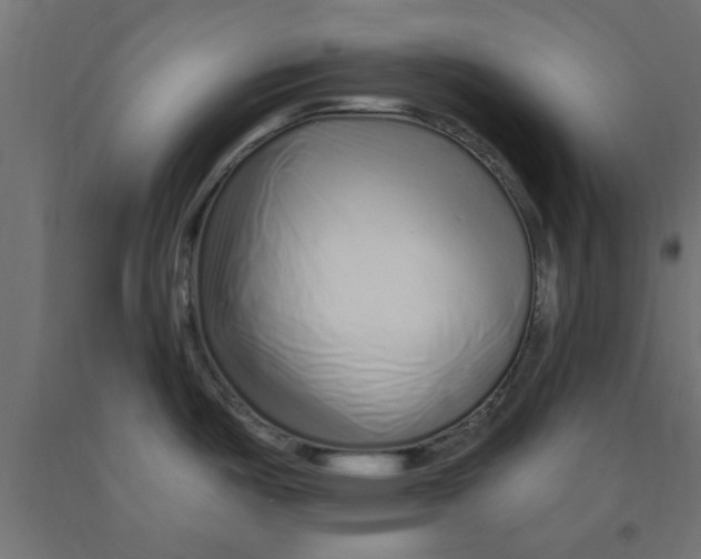 X0000090871487200708241910